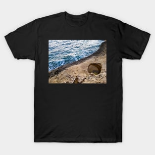 Aerial View Of Rocky Coastline T-Shirt
